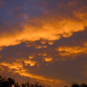 Meet your Posher, Priscilla